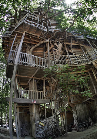 Illustration for article titled 13 Ingenious Treehouses That Go Out on a Limb